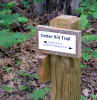 trail sign 2.jpg (82344 bytes)