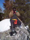 Holly with binoculars on Bald Peak.jpg (280542 bytes)