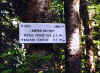 mizpah cutoff trail sign.jpg (60505 bytes)