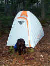 Muffin in Front of Tent.jpg (48240 bytes)