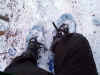 snowshoes.jpg (295919 bytes)