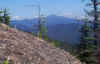 Washington from Blueberry Ledge Trail.jpg (211060 bytes)